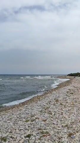 A very wide shot shows a rocky beach with the ocean stretching out to the horizon under a cloudy sky. The waves are breaking on the shore. The beach is covered with small, white, grey, and beige pebbles. A small amount of green vegetation is visible amongst the pebbles on the right side of the frame. The ocean is a deep blue-grey with white foam from the waves. The sky is overcast with streaks of grey and white clouds.
