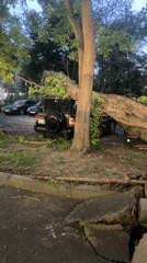 Tree falls on SUV in Yerevan Armenia