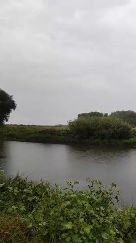 A fishing rod with a green tip is held over the bank of a calm river on a cloudy day. The river reflects the overcast sky. Lush green foliage grows along the riverbank in the foreground and on the opposite bank, where a line of trees forms the horizon.