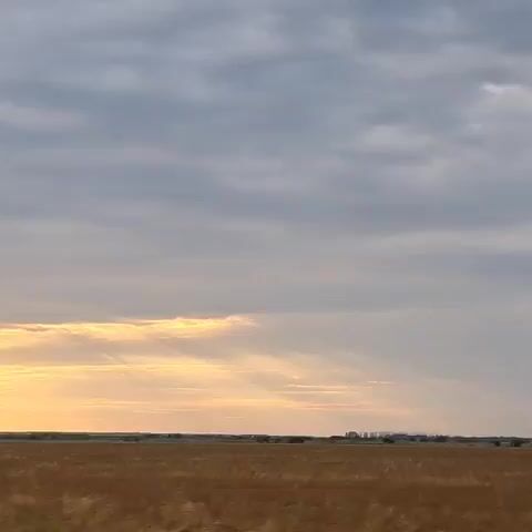 The video shows a wide shot of a rural landscape at sunset. A golden-brown field stretches across the bottom of the frame, with a faint horizon line visible in the distance. Above the field, the sky is filled with a dramatic array of clouds, with rays of sunlight breaking through in a warm, golden hue. The light suggests it's either sunrise or sunset. The overall impression is one of natural beauty and tranquility.