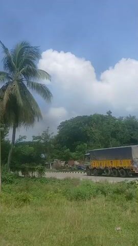 A tall palm tree is visible on the left side of the screen. A truck with a yellow and grey tarp covering is driving on a road. The truck is driving past a row of trees on the right side of the road. The sky is blue with white clouds.