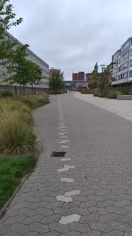 The video shows a view from a paved walkway between two buildings. A line of white arrow-shaped paving stones is embedded in the gray paver walkway, leading into the distance. A metal grate is visible in the walkway near the bottom of the frame. To the left of the walkway is a strip of tall grass and a tree. To the right, the walkway continues and appears to lead towards a street or plaza with a bench. In the distance, there are more buildings, trees, and a sky that is overcast. Two figures, one red and one yellow, can be seen in the distance walking away from the camera. The camera appears to be held steady or is moving slightly forward.
