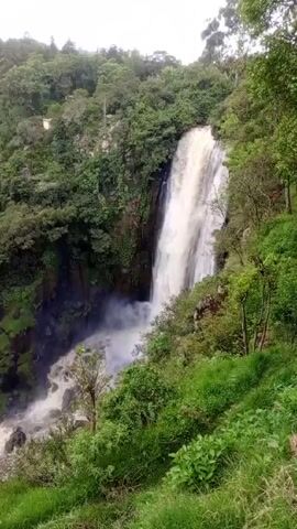 The video shows a waterfall cascading down a rocky cliff into a pool of water. The waterfall is surrounded by lush green vegetation, including trees and grass. The sky is overcast and the water appears muddy. The camera pans slowly from right to left, capturing the full view of the waterfall.