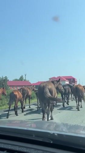 Kunashak, Russia