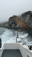 Fishing boat spotted in foggy waters near Mayak Gamov