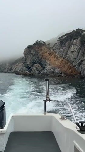 Fishing boat spotted in foggy waters near Mayak Gamov
