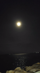 Full moon creates shimmering reflection over water body