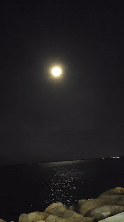 Full moon creates shimmering reflection over water body