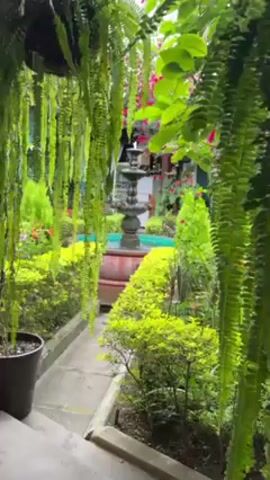 The video displays a beautiful courtyard garden. A three-tiered fountain stands centrally, the water reflecting a vibrant blue-green hue. The garden is meticulously landscaped with trimmed hedges and various plants, including ferns hanging from above and bright red flowers scattered throughout. A stone pathway leads toward the fountain. There is no indication of any people present in the shot.