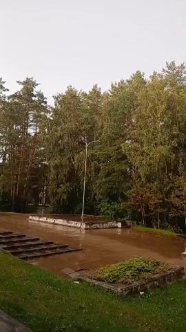 The video shows an outdoor scene with trees, grass, and a wet paved area. The sky is overcast. There is a light pole in the background. A partial rainbow is visible in the upper right portion of the screen. The ground appears wet, indicating recent rain. There are some concrete structures and steps visible.