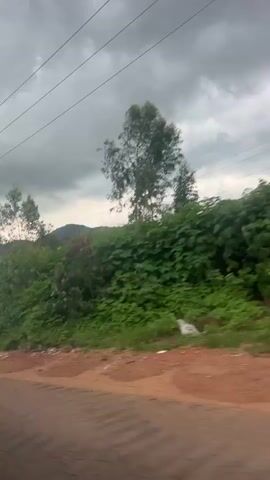The video is a first-person perspective video of a rural landscape with a dirt road in the foreground. Overcast, cloudy skies dominate the upper portion of the frame, with power lines strung across. Dense green foliage and trees line the side of the road and extend up the rolling hills in the background. There are no people or discernible animals visible. The camera appears to be moving, suggesting the footage was captured from a vehicle.