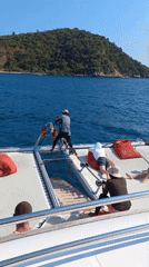 Catamaran crew pulls anchor in sunny Bang Sare waters