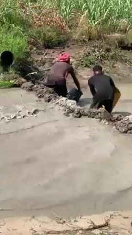 Two people are standing in a muddy river and using buckets to add water to the river. One person is wearing a red head wrap and dark clothing, and the other is wearing a black shirt and dark shorts. They each fill their buckets with water from the riverbank and then dump the water back into the river. The river is surrounded by mud, rocks, and vegetation. There are tall green plants visible in the background.