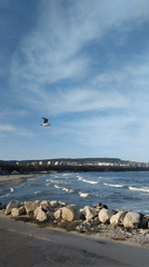 Quiet afternoon documented along Varna's beaches and harbor