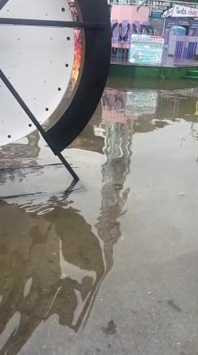 Flooding swamps Varna amusement park, submerging rides and grounds