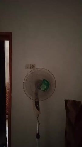 The video shows a floor fan in a room. The fan is turned on and its blades are spinning. The fan is white and tan with a purple base. There is a green object attached to the fan's grill. The wall behind the fan is white and there is a light switch and an outlet above the fan. There is a doorway to the left of the fan and a piece of furniture to the right.