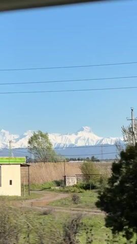 The video, shot from a moving vehicle, presents a landscape featuring a clear, blue sky. Initially, an abandoned gas station structure with a green roof and white pillars is visible. The backdrop showcases snow-capped mountains, partially obscured by trees and power lines. As the vehicle progresses, the view shifts to encompass a verdant field and a line of trees. Throughout the video, snow-covered peaks remain visible in the distance.