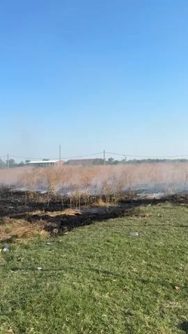 The video shows a field with dry grass and some scattered debris. Smoke is rising from several spots in the field, indicating a fire. There are some people in the distance, appearing to be near the fire or possibly involved in putting it out. In the background, there are some buildings and power lines. The sky is clear and blue. The overall scene depicts an area affected by a grass fire.