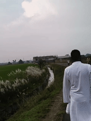 Kans grass season along rural Bihar's waterways and fields