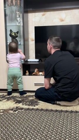 A young child and an adult man are in a living room. The child, dressed in a pink shirt and green pants, stands and interacts with a glass cabinet filled with figurines. The man, wearing a black t-shirt and dark jeans, sits on the floor facing the child. Between them is a dark-colored rug with an intricate pattern. Behind them, there is a television. On a shelf beneath the television are several more figurines, including one that resembles a reclining cat. The child reaches for items within the glass cabinet, and the man appears to be observing the child's actions. There is a reflection of another person in the television screen. The overall atmosphere appears relaxed and domestic.