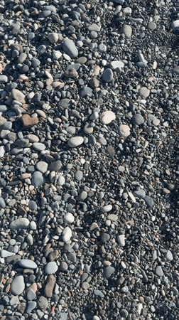Woman takes selfie on sunny Batumi beach