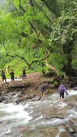 The video is shot outdoors in a densely vegetated area, possibly a forest or jungle, where a stream is flowing. Five individuals are visible. Four of them are standing on a muddy bank under the shade of trees; they appear to be observing or resting. The fifth individual is wading through the stream, barefoot and in shorts. The stream is rocky and the water is flowing rapidly.