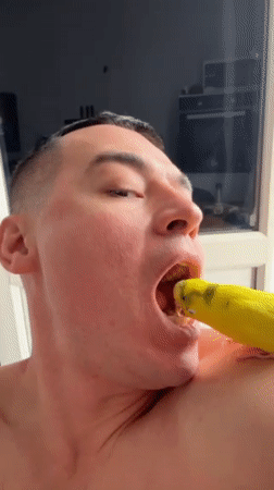 Man and pet parakeet share intimate moments in Anapa home