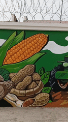 Agricultural mural spotted on wall in Howayi, Nigeria