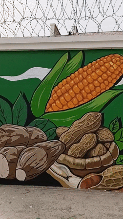Agricultural mural spotted on wall in Howayi, Nigeria