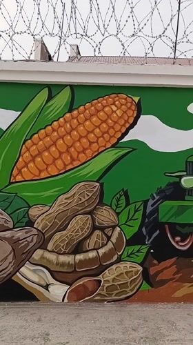 Agricultural mural spotted on wall in Howayi, Nigeria