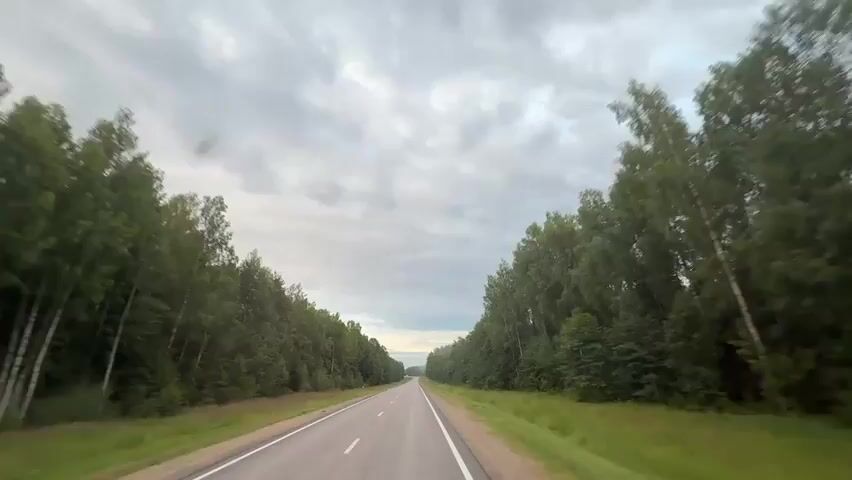 A highway with trees on either side under a cloudy sky. The road appears to be paved with asphalt and has white lane markings. The trees are dense and green, forming a canopy over the road. The sky is overcast with gray clouds. The video is shot from a moving vehicle, giving a first-person perspective of the drive. There is a black SUV in the distance on the right side of the road.