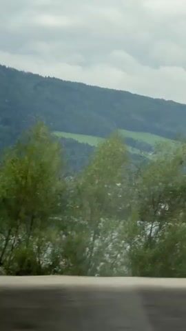 The video shows a view from a moving vehicle, looking out a window. In the foreground, there is a blurred, reflective surface, possibly the interior of the vehicle. Beyond that, trees with green leaves are visible, some swaying in the wind. In the background, there are rolling hills covered in lush green trees and patches of lighter green, suggesting fields or clearings. The sky is overcast with grey clouds. There is no visible presence of people or specific objects other than the natural landscape and elements of the moving vehicle.