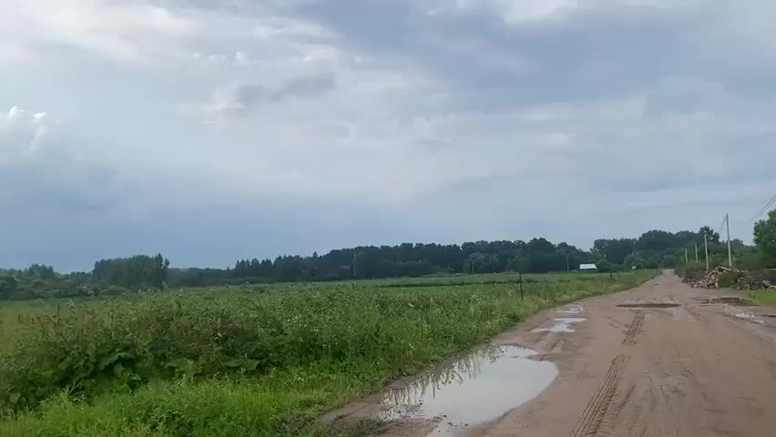 The video pans across a rural landscape under a cloudy sky. In the foreground, a muddy dirt road with puddles is visible on the right side, with tire tracks in the mud. To the left of the road is a grassy field with tall green weeds. In the mid-ground, a vast green field stretches out, bordered by a dense line of trees in the background. The sky is filled with dramatic, heavy clouds, with patches of sunlight breaking through, casting rays across the scene. The overall impression is of a natural, somewhat untamed environment, possibly after a recent rain. There are no people or animals visible in the video.