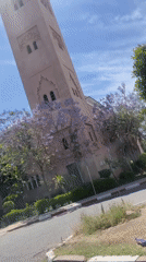 Ornate minaret amid blooming trees filmed in Marrakesh