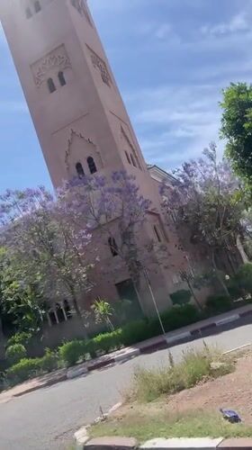 Ornate minaret amid blooming trees filmed in Marrakesh