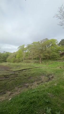 The camera pans slowly from right to left, revealing a castle perched on a rocky outcrop overlooking a coastal landscape. The foreground features a grassy marsh with moss-covered patches. The castle is a multi-story stone structure with a red flag atop its highest point. In the distance, a body of water extends to the horizon under a cloudy sky. Along the left edge of the frame, a grassy path runs parallel to the water, with two indistinct figures walking in the distance. The overall scene evokes a serene and historic atmosphere.