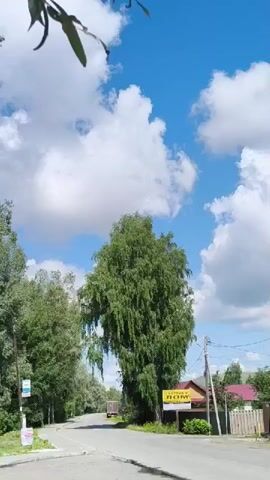 The video shows a rural road scene under a bright blue sky with white cumulus clouds. A tall, slender birch tree with weeping branches stands prominently in the foreground, to the left of a curved asphalt road. To the right of the road, a yellow sign with Cyrillic text that appears to read "Строй. ЛОМ" is visible, along with a power pole and some residential buildings with reddish-brown roofs. The camera angle suggests it is mounted on a moving vehicle traveling along the road, causing the trees and buildings to pass by. The overall impression is of a sunny day in a somewhat rural or suburban environment.