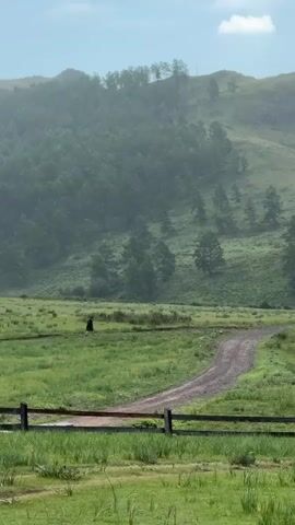 A person walks across a grassy field towards a dirt road that curves up a hill. The hill is covered in trees. The sky is cloudy.