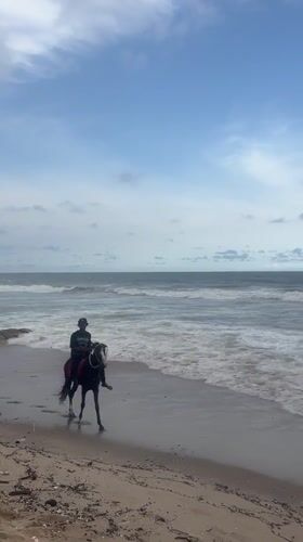 Horse riders spotted on Accra beach during afternoon outing