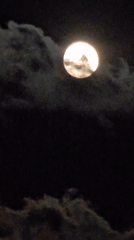 Witness documents cloudy full moon over urban area