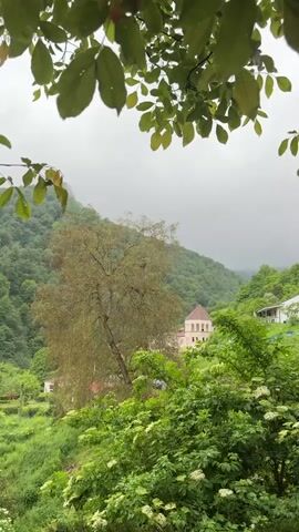 This is a vertical video of a cloudy day in a mountainous, rural area with lush green vegetation. In the foreground, there are several trees with green leaves, some in focus and some out of focus. The middle ground features a large tree with lighter colored leaves, possibly a sycamore or plane tree, and a building with a pale facade and a reddish-brown roof visible behind it. The background consists of rolling hills covered in dense green forest, shrouded in mist or clouds. The overall atmosphere is serene and natural, suggesting a quiet, secluded location. There are no people or animals visible in the frame. The lighting is diffused due to the overcast sky, creating a soft, muted color palette.