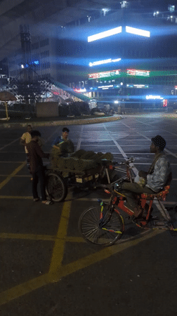 Nighttime street vendors with plant materials gather in Dhaka