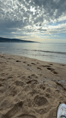 Early morning beach time in Nesebar with seagulls