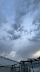 Storm clouds gather over greenhouse in Maidstone