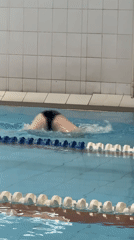 Lap swimming session at an indoor pool in Birobidzhan