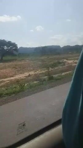 The video captures a view from a moving vehicle, looking out a window at a dry, grassy landscape. The terrain is mostly flat with some low hills in the distance. There are scattered trees and shrubs, with some areas appearing to be dry or barren. The sky is partly cloudy. The road is visible in the foreground. A person's arm or shoulder is partially visible in the lower right corner of the frame, suggesting the perspective is from inside the vehicle.