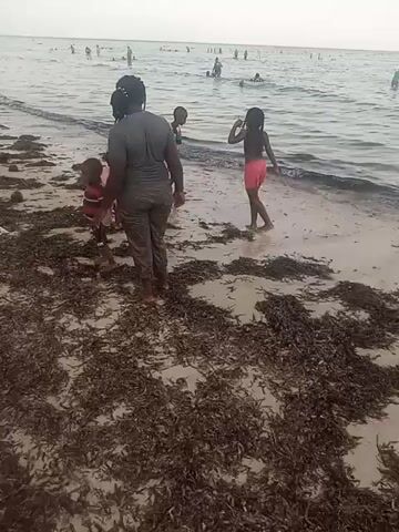 A woman and three children stand at the edge of a beach covered in brown seaweed, looking out at the ocean.  Other people are swimming and standing in the water further away. The woman is wearing a gray shirt and pants, both of which appear wet and sandy. One child wears a red and black shirt, another is in pink shorts, and the third is wearing striped swimwear. The water is calm and the sky is overcast.