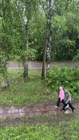 Two people walk along a wet, paved path bordered by green grass and trees. One person wears a pink hooded jacket and black pants, while the other wears a grey hooded jacket and black pants. It appears to be raining, as indicated by the wet surfaces and visible raindrops in the air. Beyond the path and grass, a flooded area or pond can be seen, surrounded by more trees.