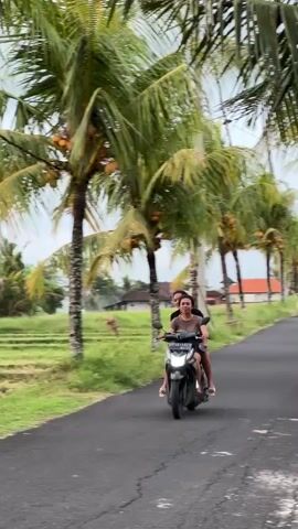A video depicts two individuals riding on a black motor scooter down a narrow black asphalt road. The rider appears to be a man, and the passenger a woman. They are passing a row of palm trees that line the road on both sides. Beyond the trees, there is a rice paddy on one side and houses on the other. The sky is overcast. The video follows the scooter as it drives away from the camera.