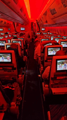 Passengers document airplane cabin scenes during evening flight